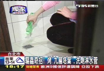 〈獨家〉驅蟲奇招！　烤「九層塔葉」、洗劑淋水管