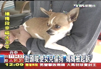街頭唆使女兒偷狗　媽媽被起訴