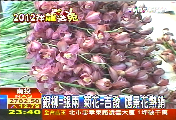銀柳=銀兩、菊花=吉發　應景花熱銷