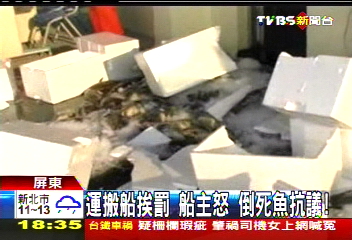 運搬船挨罰船主怒　倒死魚抗議！