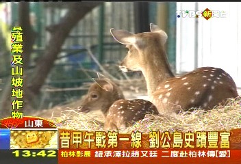 山東伙食「太補」　梅花鹿減肥健身