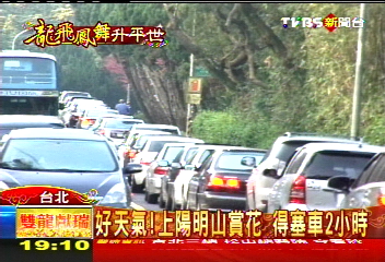 好天氣!上陽明山賞花 得塞車2小時