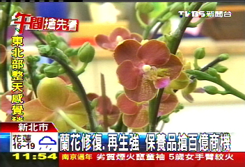 蘭花修復、再生強 保養品搶百億商機