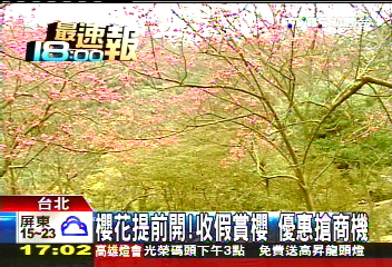 櫻花提前開!收假賞櫻 優惠搶商機