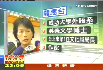龍應台掌文建會　藝文界期待表現