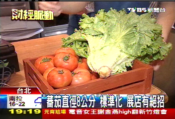 「蕃茄直徑8公分」標準化　展店有絕招