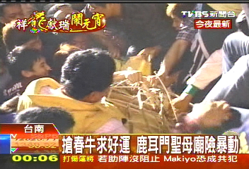 搶春牛求好運 鹿耳門聖母廟險暴動