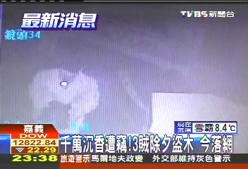 千萬沉香遭竊!3賊除夕盜木 今落網