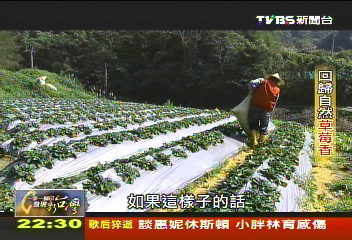 【一步一腳印】有機酸甜原味 回歸自然草莓香