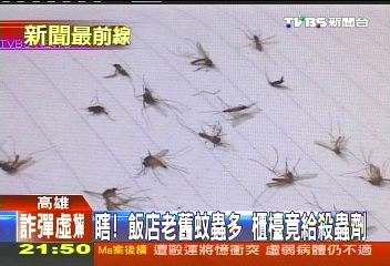 〈獨家〉瞎!飯店老舊蚊蟲多 櫃檯竟給殺蟲劑