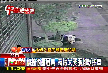 翻牆偷畫眉鳥 竊賊太緊張腳軟摔車