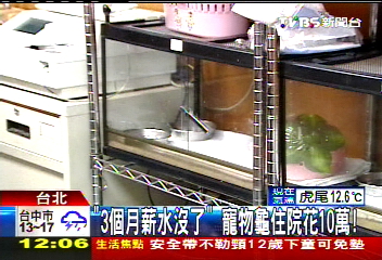 「3個月薪水沒了」　寵物龜住院花10萬！