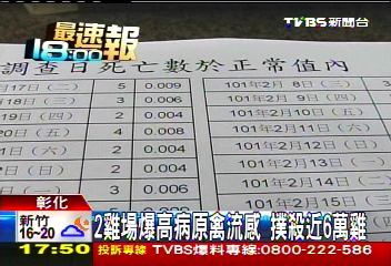 2雞場爆高病原禽流感 撲殺近6萬雞