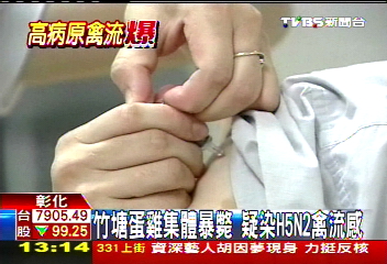 竹塘蛋雞集體暴斃 疑染H5N2禽流感
