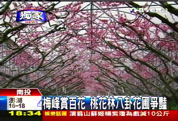 〈獨家〉梅峰賞百花　桃花林八卦花圃爭豔