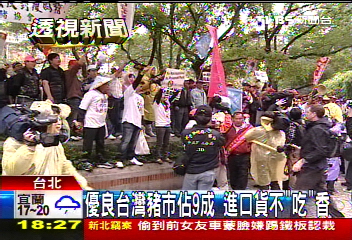 開放牛！「豬」農抗爭　產銷訴求搭順風