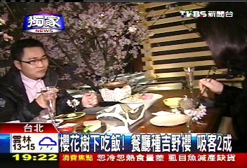 〈獨家〉櫻花樹下吃飯！餐廳種吉野櫻　吸客2成