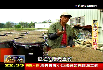 【一步一腳印】龜毛阿公古早酸菜 雙腳「踩」出好滋味