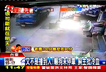 又不是撞到人!輾狗未停車 飼主批冷血