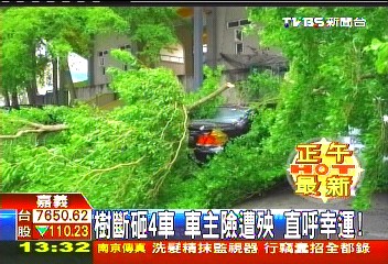 樹斷砸4車!車主險遭殃 直呼幸運