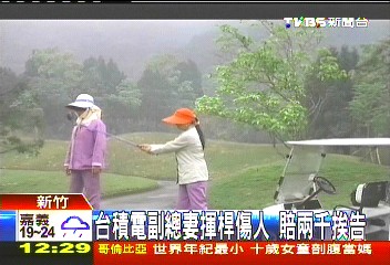 台積電副總妻揮桿傷人　賠2千挨告