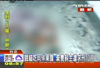 餓貓吃同伴果腹 棄養飼主遭求刑10月