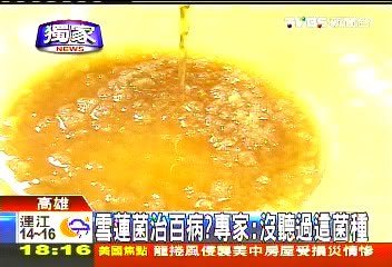 〈獨家〉雪蓮菌治百病？　專家：沒聽過這菌種