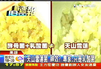 「天山雪蓮菌」神效？　專家：只是乳酸菌