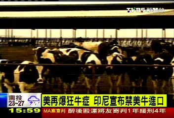美國追查狂牛症 乳牛基因突變造成