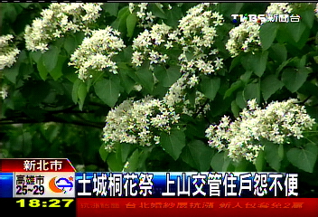 土城桐花祭 上山交管住戶怨不便