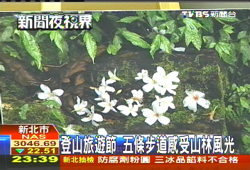登山旅遊節　5條步道感受山林風光