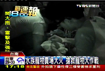 水族寵物賣場大火　搶救寵物大作戰