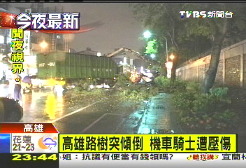 高雄路樹突傾倒　機車騎士遭壓傷