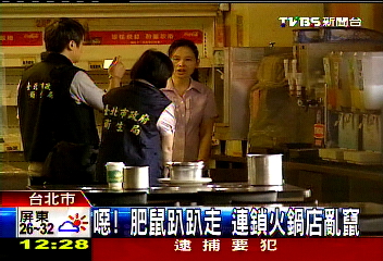 噁！肥鼠趴趴走　連鎖火鍋店亂竄