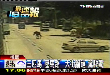 3匹馬「壓馬路」！大街蹓躂　駕駛驚