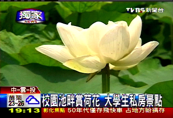 〈獨家〉校園池畔賞荷花 大學生私房景點