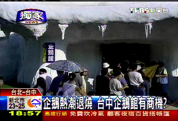 串聯漁港溼地 中市花5億蓋企鵝館