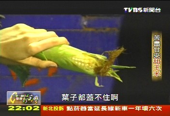 【一步一腳印】愈挫愈勇! 13年終成有機玉米