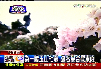 〈獨家〉玉山杜鵑日夜之美　縮時攝影全紀錄