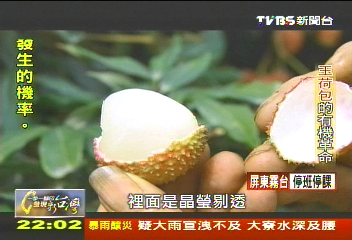【一步一腳印】守護消費者的健康　愛鄉愛土玉荷包