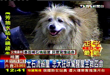 土石流毀屋 忠犬狂吠驚醒屋主救4命