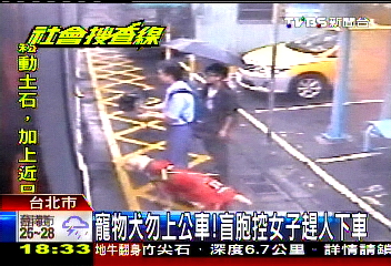 寵物犬勿上公車! 盲胞控女子趕人下車