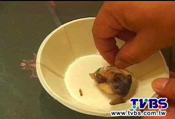 〈獨家〉嚇!魚湯藏鐵鉤 熊家豬腳遭客訴
