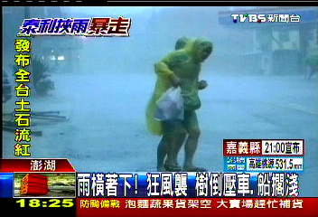 泰利颱風／首當其衝！澎湖風雨強　樹倒、船擱淺