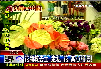 〈獨家〉花商教去土「走私」花　當心觸法！