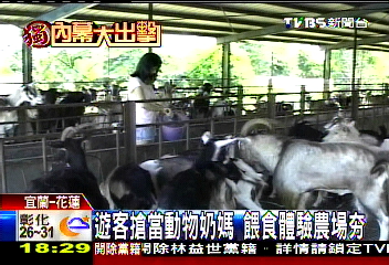 〈獨家〉餵食風正盛　牧場轉型業激增3成
