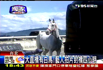 〈獨家〉大直橋有白馬！　藝人拍片封橋4小時
