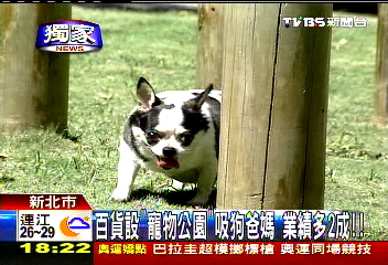 〈獨家〉百貨設「寵物公園」吸狗爸媽　業績多2成！