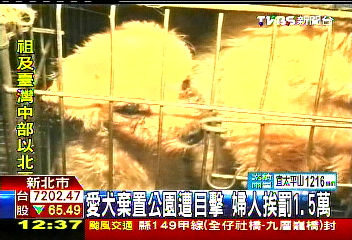 愛犬棄置公園遭目擊 婦人挨罰1.5萬
