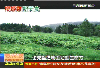 綠色資源豐富 北國大地避暑觀光
